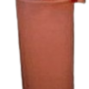 paloma