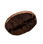 demo-attachment-615-coffee-beans-P4MXYZD3@2x